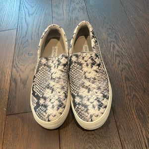 Steve Madden ecentrcq sneake. Snake skin
